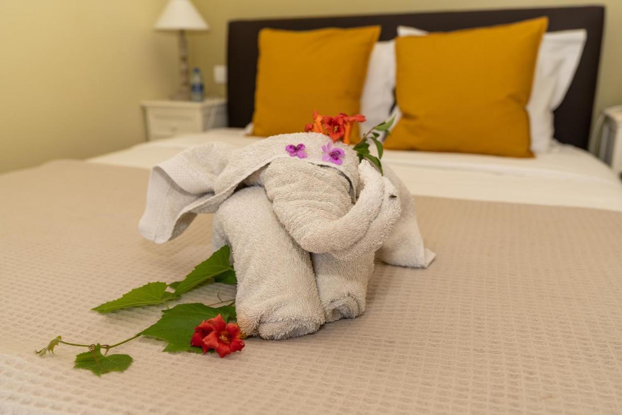 سولت دي فوكلوز Mon Ventoux - Cozyhotes المظهر الخارجي الصورة